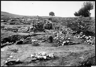 Excavated stone wall foundations at Temples A-B, Cholades, Soli, with trees and a hillside behind