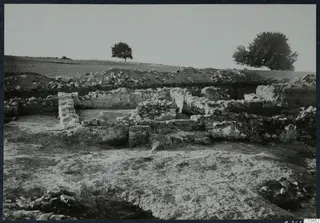 Excavated stone foundations of the Cholades temples A-B at Soli, with trees on the skyline
