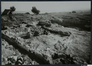 Excavated stone walls of Room V at Soli, seen from the west, with a tent and trees behind.