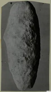 Elongated oval stone object with a rough, pitted surface, from Vouni, Korakas tombs.