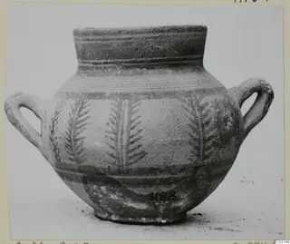 Two-handled jar with painted fern-like motifs in vertical panels, Bichrome V pottery