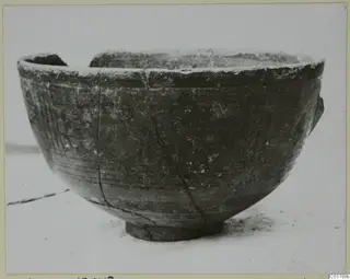 Painted bowl with a thick rounded rim and short ring foot, shown on a pale surface