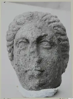 Stone head from Soli, a carved male or youth face with curled hair, shown against a pale backdrop.