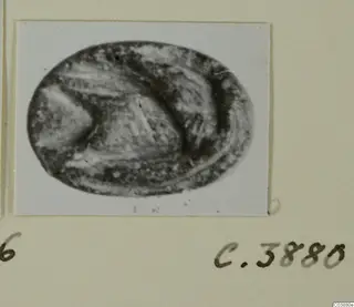 Oval engraved seal or gem, shown in a photograph pasted on a card mount