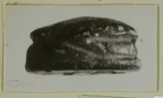 Stone seal or gem from Ayia Irini, shown in side view