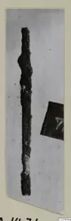 Corroded metal object from Amathus, a long thin rod with a swelling near the top, photographed upright on a grey background