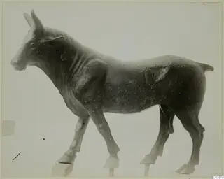 Bronze figurine of a standing donkey or mule, seen from the side against a pale background