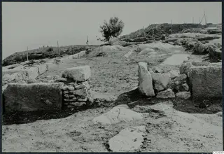Excavated stone walls and large blocks at Vouni palace, with a small tree and wooden posts beyond.