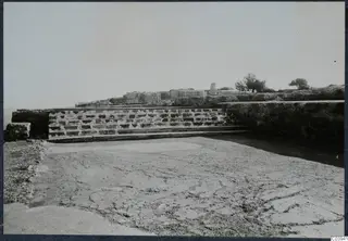 Stone steps and low walls of the palace at Vouni, with a tree on the ruined terrace behind.