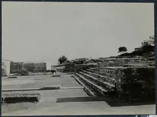 Stone staircase and low walls among the ruins of the palace at Vouni, with a tree behind