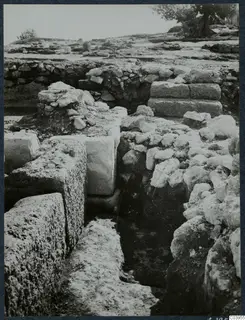 Excavation at the Vouni palace showing stone walls, a narrow trench and a tree in the background.