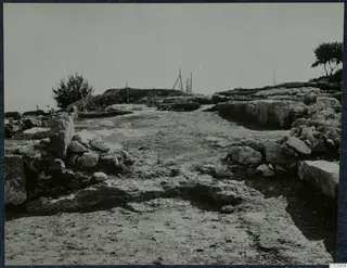 Excavated ground at the palace at Vouni, with dressed stone blocks and walls on either side and a few thin wooden stakes beyond.