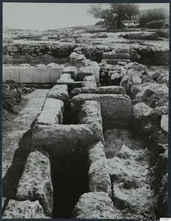 Excavation at the Vouni palace with exposed stone walls, a deep narrow trench and a tree behind