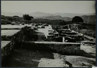 Excavated stone foundations of the palace at Vouni, with hills and trees beyond