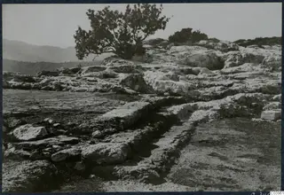 Stone foundations and a narrow channel at Vouni, with a tree and hills behind