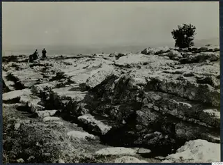 Cut stone remains at Vouni Temple of Athena, with a few people at the left edge and a small tree on the right