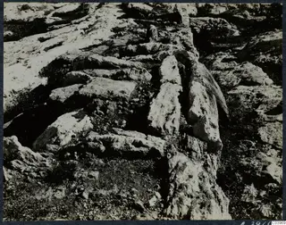 Stone blocks and scrub at the Temple of Athena at Vouni