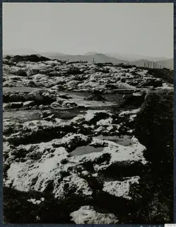 Rocky limestone surface at Vouni Temple of Athena, with water-filled hollows, a fence and distant hills