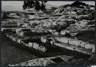 Rocky ground at Vouni with cut stone blocks and rectangular cuttings, a tree and hills behind