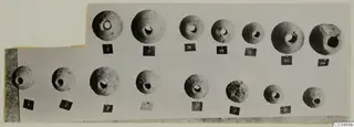 Two rows of round objects, each with a hole through it, photographed on a grey card with small number labels.