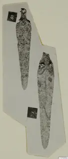Two corroded metal blades with tangs on a grey card, with number labels, from Lapithos Tomb 322 B