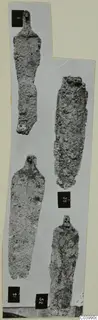 Four corroded bronze tools with tangs and long narrow blades, photographed on a grey card with number labels