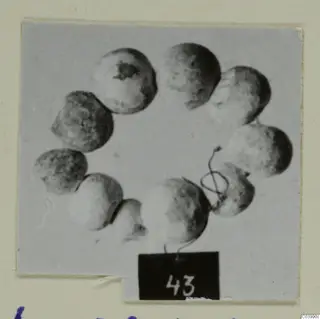 Ring of small round beads with wire threaded through them, small finds from Lapithos, Vrysi tou Barba tombs