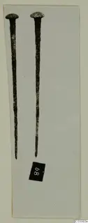 Two long metal pins with domed heads, laid side by side on a pale card