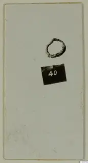 Small bronze ring with a number label, shown as a small print on a pale mounted card