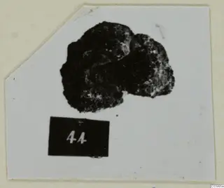 Corroded dark metal lump with two rounded lobes, from Lapithos Tomb 313 C-D