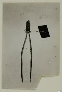 Two-pronged bronze tool from Lapithos Tomb 323 D, shown against a grey background