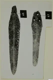 Two corroded bronze blades with number labels, photographed on a pale card