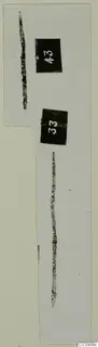 Two thin, dark elongated objects on a card with two black number labels, from Lapithos Tomb 311A