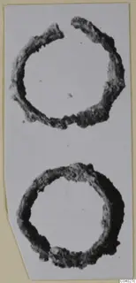 Two corroded bronze rings, one above the other, shown against a pale mounted card.
