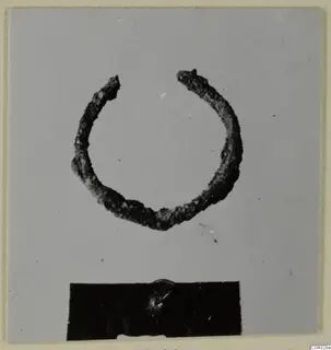 Open ring of dark, corroded metal on a grey card, with a black label strip below.