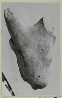 Fragment of a terracotta figure, Terracotta Minor Plastic 1 (J.51), from Idalion