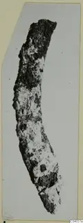 Corroded, curved iron tool from Idalion, shown on a mounted photograph card