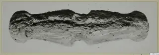 Elongated, irregular find on a pale background with a dark crumbly upper surface and layered streaks; recorded as bone