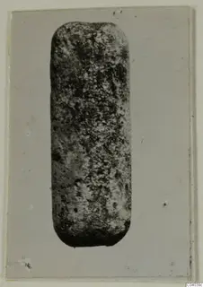 Upright cylindrical object with rounded ends and a speckled grey surface, photographed on a card mount