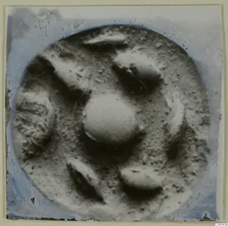 Round object with a raised domed centre and several rounded lobes around it, photographed on a glass slide, labelled glyptic