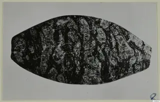 Oval bead-like object with dark banded and mottled pale surface, small find from Idalion, shown on grey background