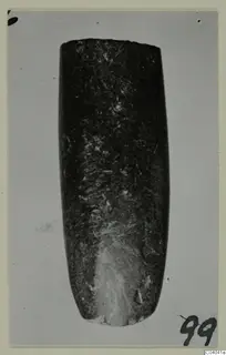 Elongated dark polished stone object, tapering towards its lower end, photographed against a pale grey background