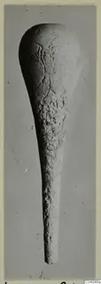Bone object with a rounded head tapering to a narrow shaft, from Idalion, photographed on a mount