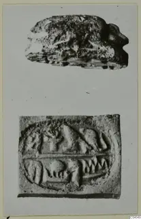 Two seal objects: a beetle-shaped seal above and an engraved seal face below, shown on a mounted photo card.