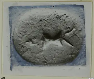 Oval glyptic object with a central depression and raised ridges, shown on a blue-tinted mount