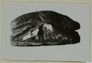 Scarab-shaped stone object photographed as a find