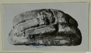 Soft-focus photograph of an elongated stone object with a rounded, ridged back, on a light card mount