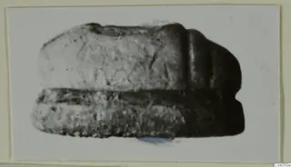 Close-up photograph of a stone object, possibly a scarab, mounted on a card