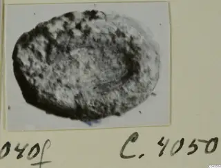 Oval seal or gem with a pitted, mottled surface, shown on a card with handwritten number labels