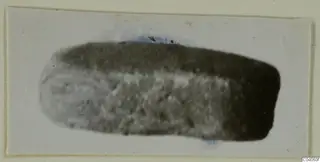 Elongated stone seal or gem with rounded ends, photographed on a pale card mount